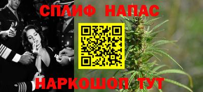 гашик Сланцы