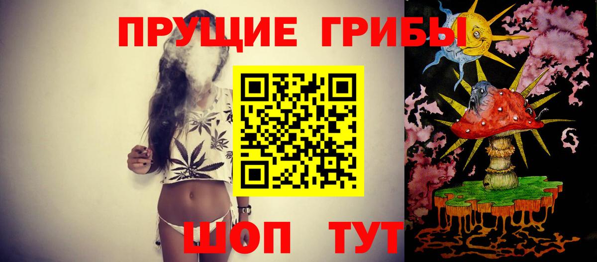 Галлюциногенные грибы Cubensis Саяногорск